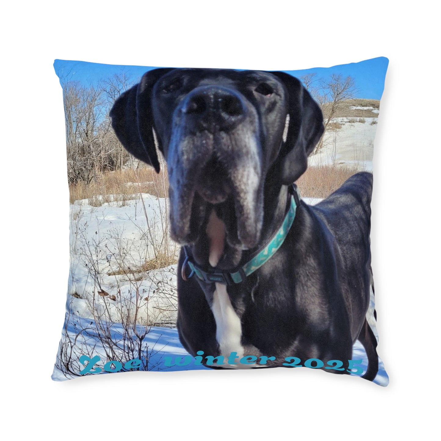 Personalized Dog Photo Square Pillow - Custom Pet Throw Pillow
