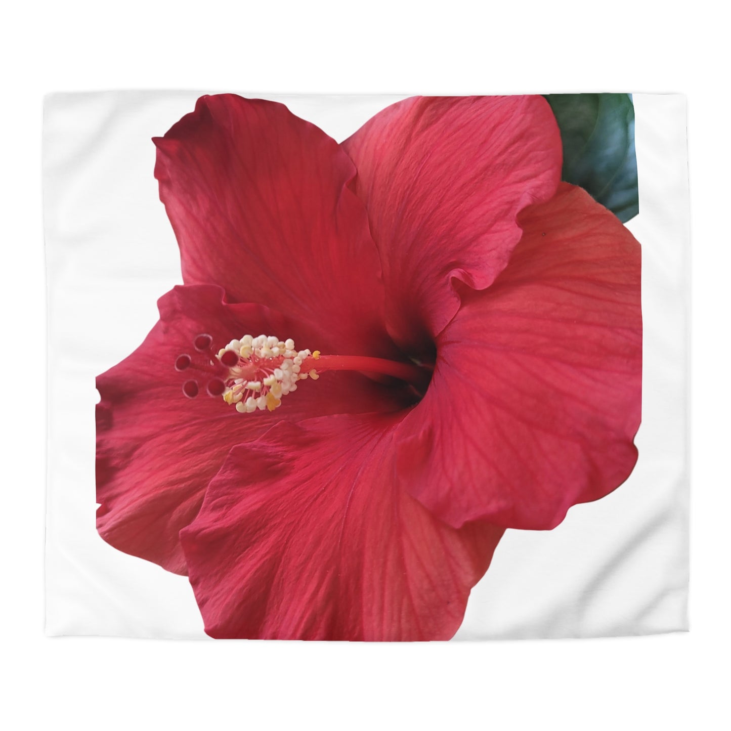 Hibiscus Bloom Microfiber Duvet Cover – Bright Floral Bedding for Relaxed Home Décor