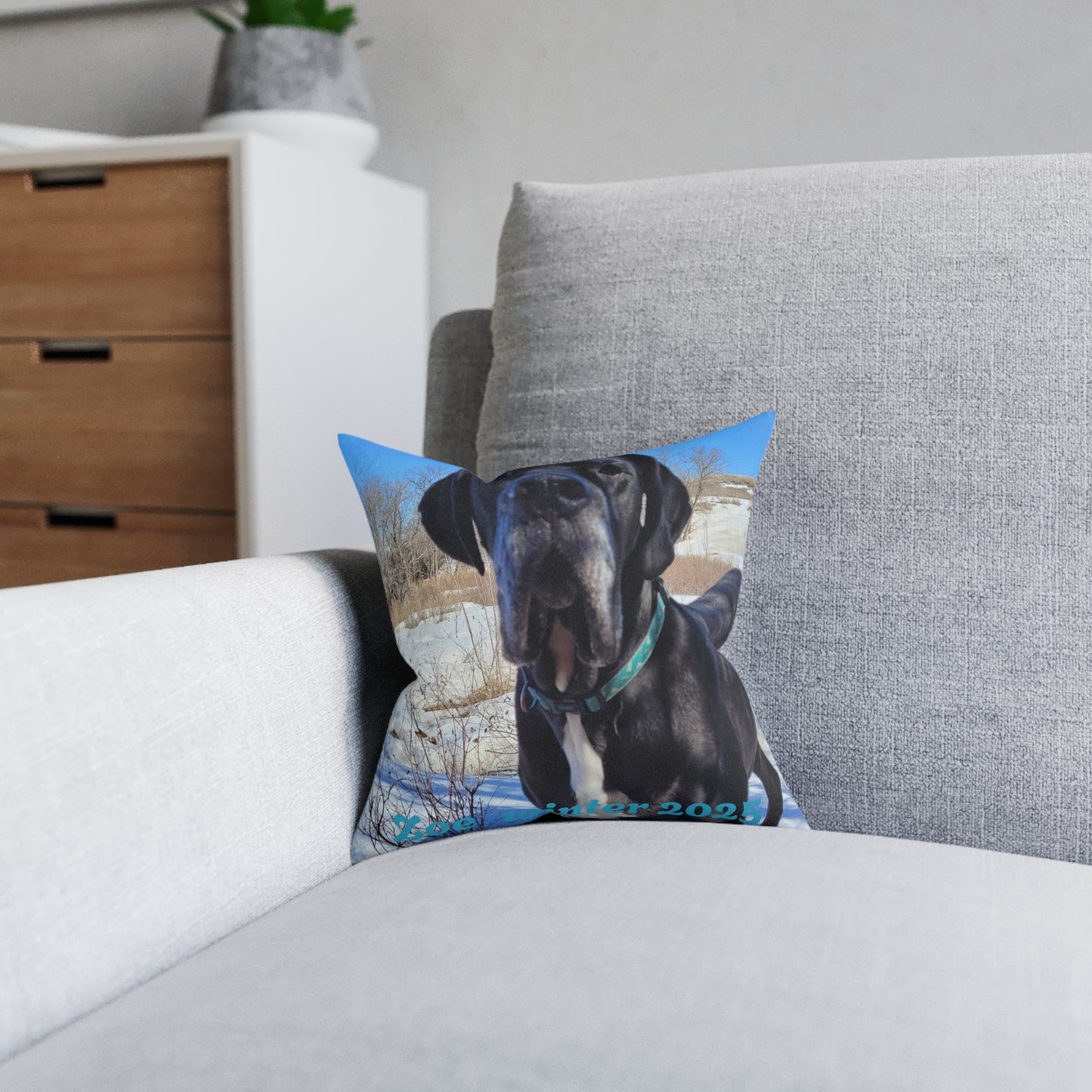 Personalized Dog Photo Square Pillow - Custom Pet Throw Pillow