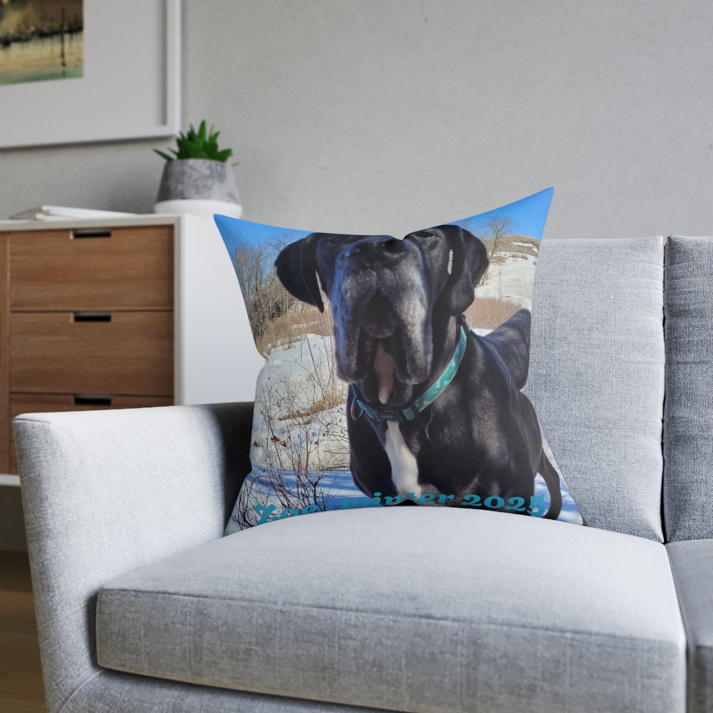 Personalized Dog Photo Square Pillow - Custom Pet Throw Pillow