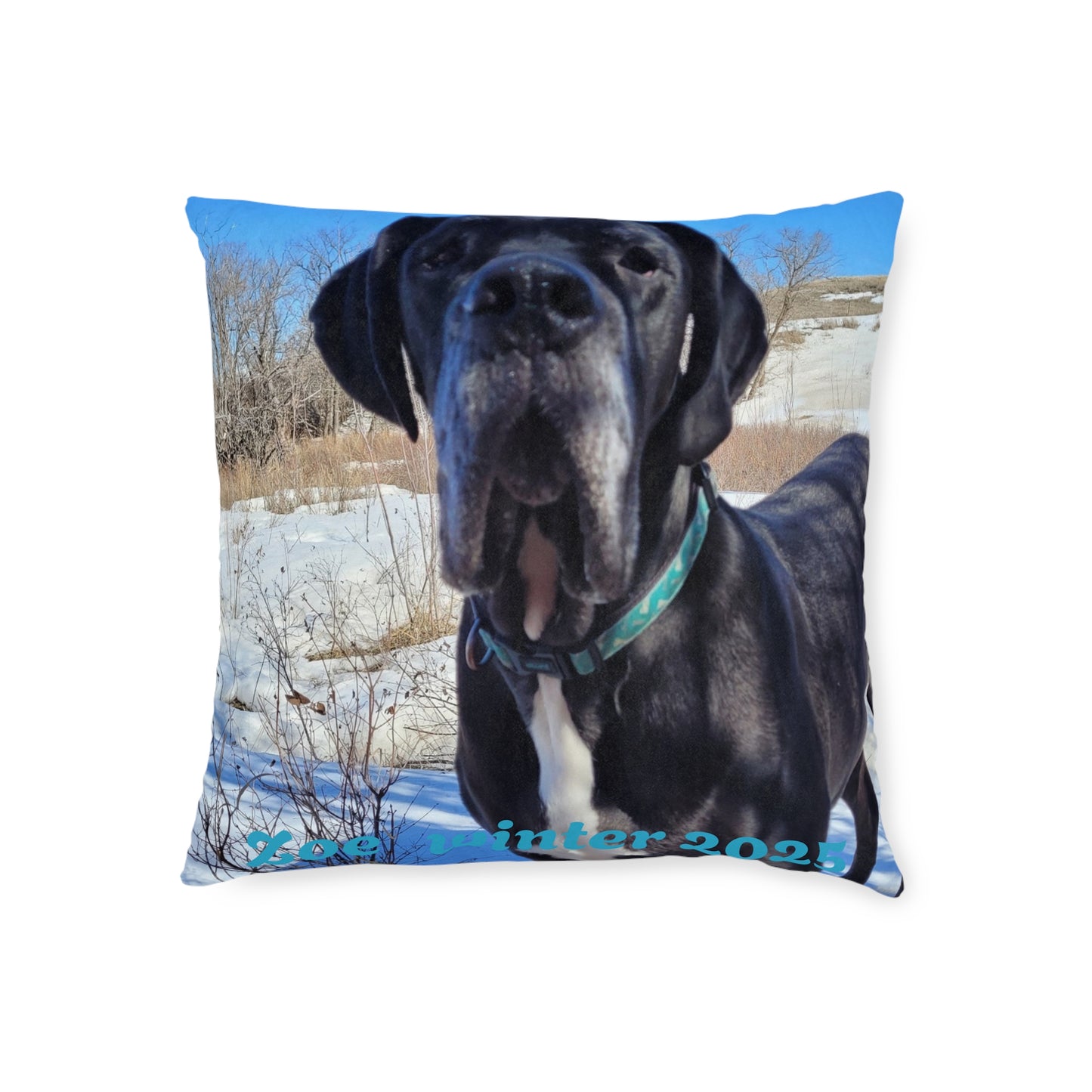 Personalized Dog Photo Square Pillow - Custom Pet Throw Pillow
