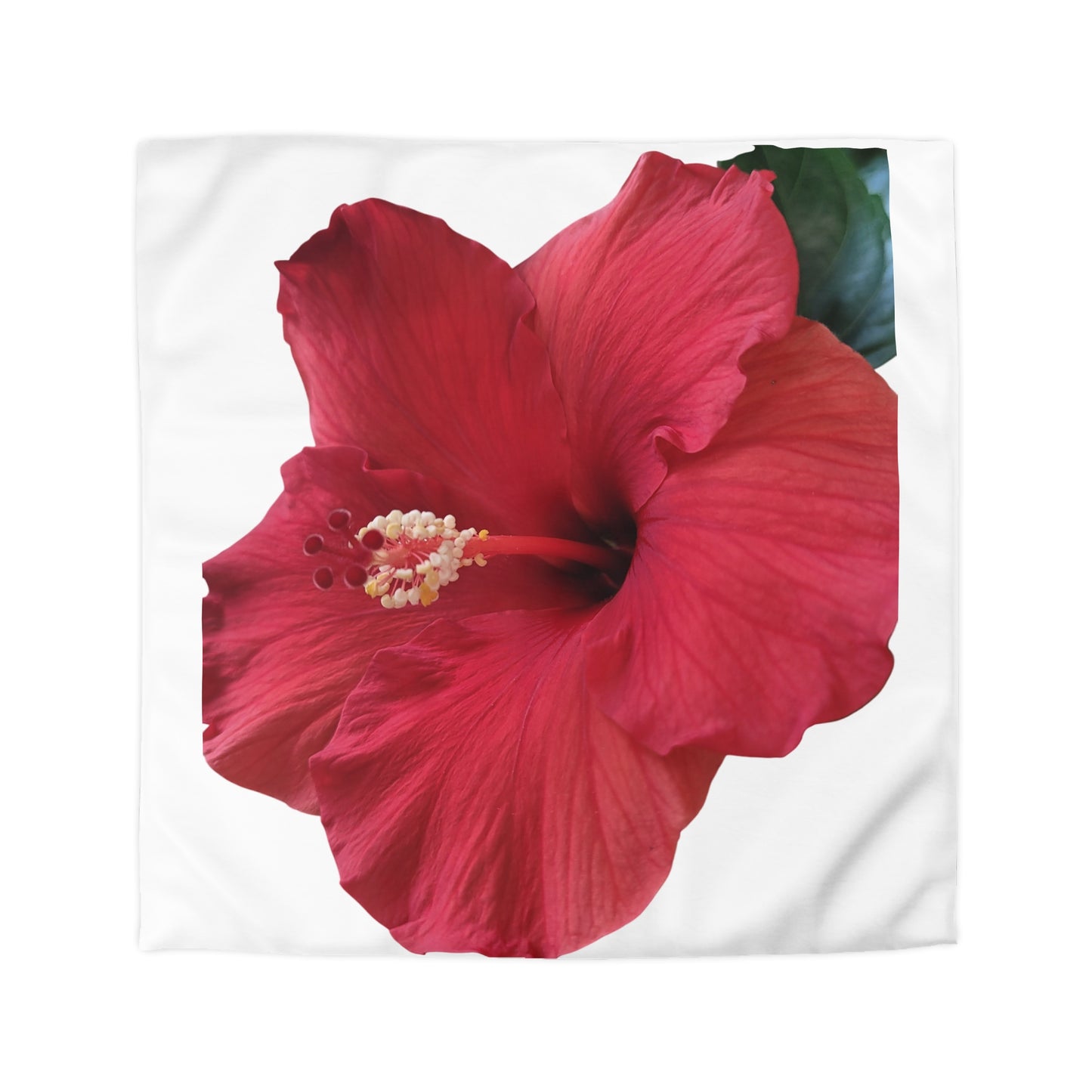 Hibiscus Bloom Microfiber Duvet Cover – Bright Floral Bedding for Relaxed Home Décor