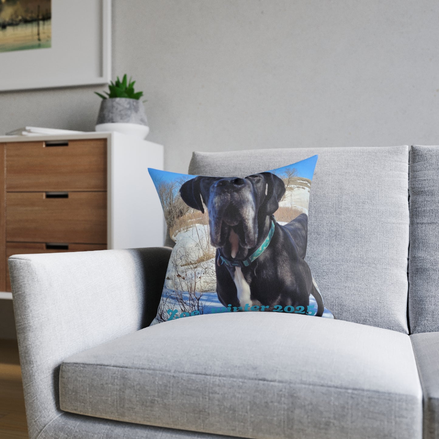 Personalized Dog Photo Square Pillow - Custom Pet Throw Pillow