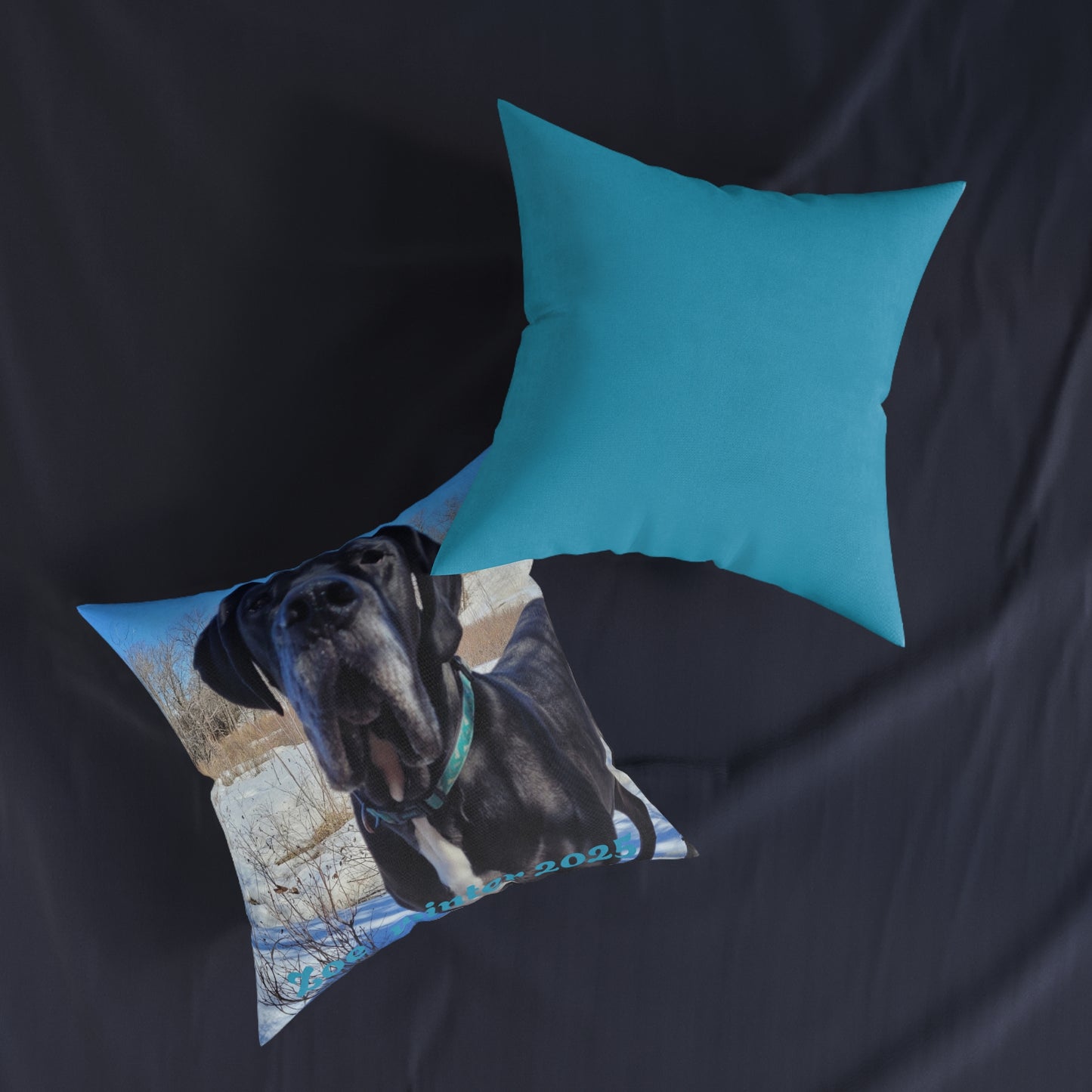Personalized Dog Photo Square Pillow - Custom Pet Throw Pillow