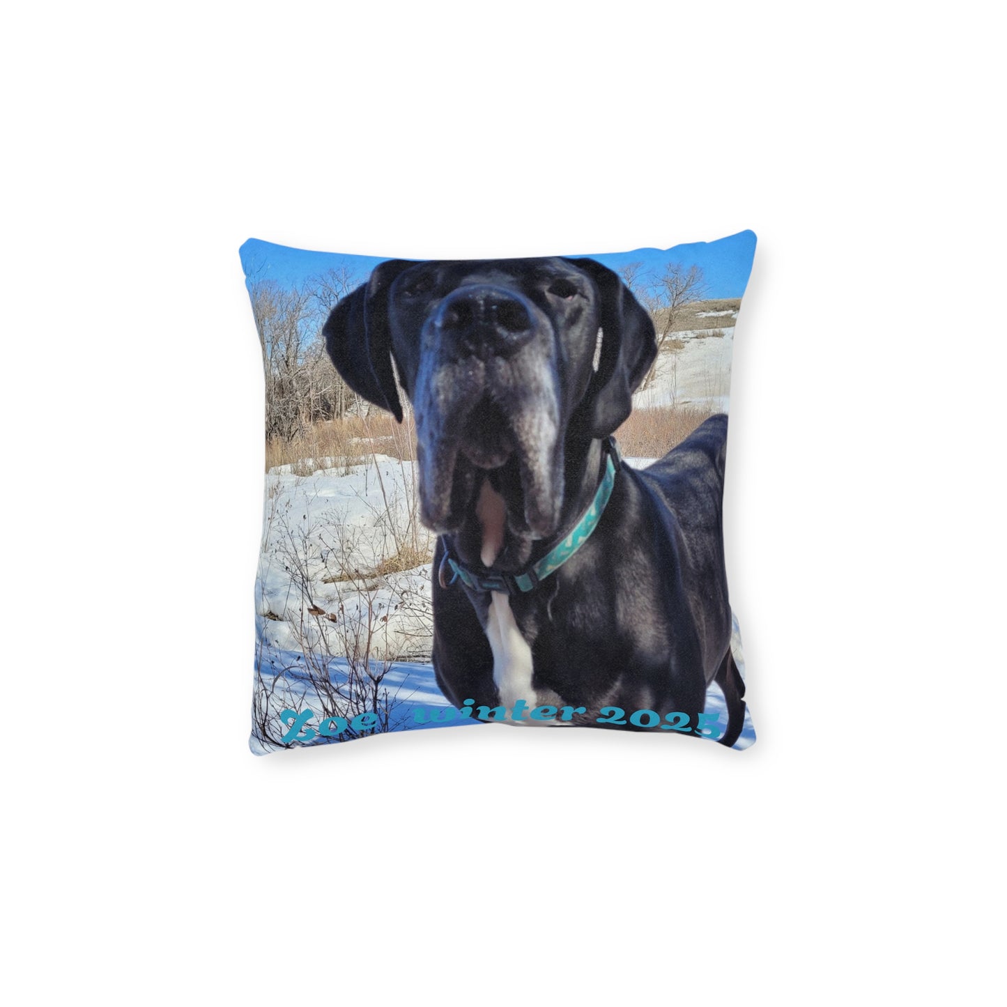 Personalized Dog Photo Square Pillow - Custom Pet Throw Pillow