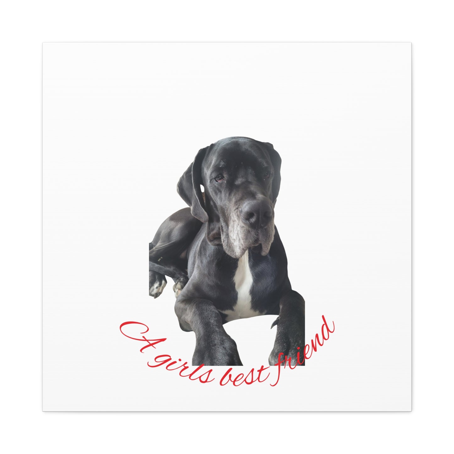 Personalized Dog Portrait Canvas Art - Custom Matte Wall Decor