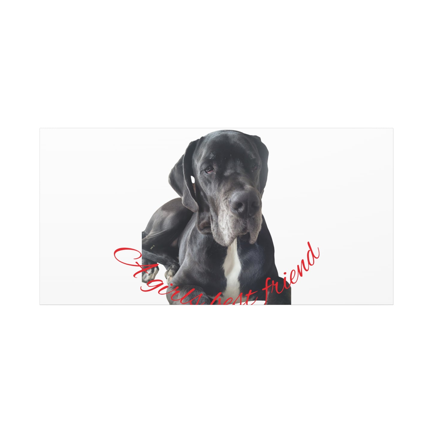 Personalized Dog Portrait Canvas Art - Custom Matte Wall Decor
