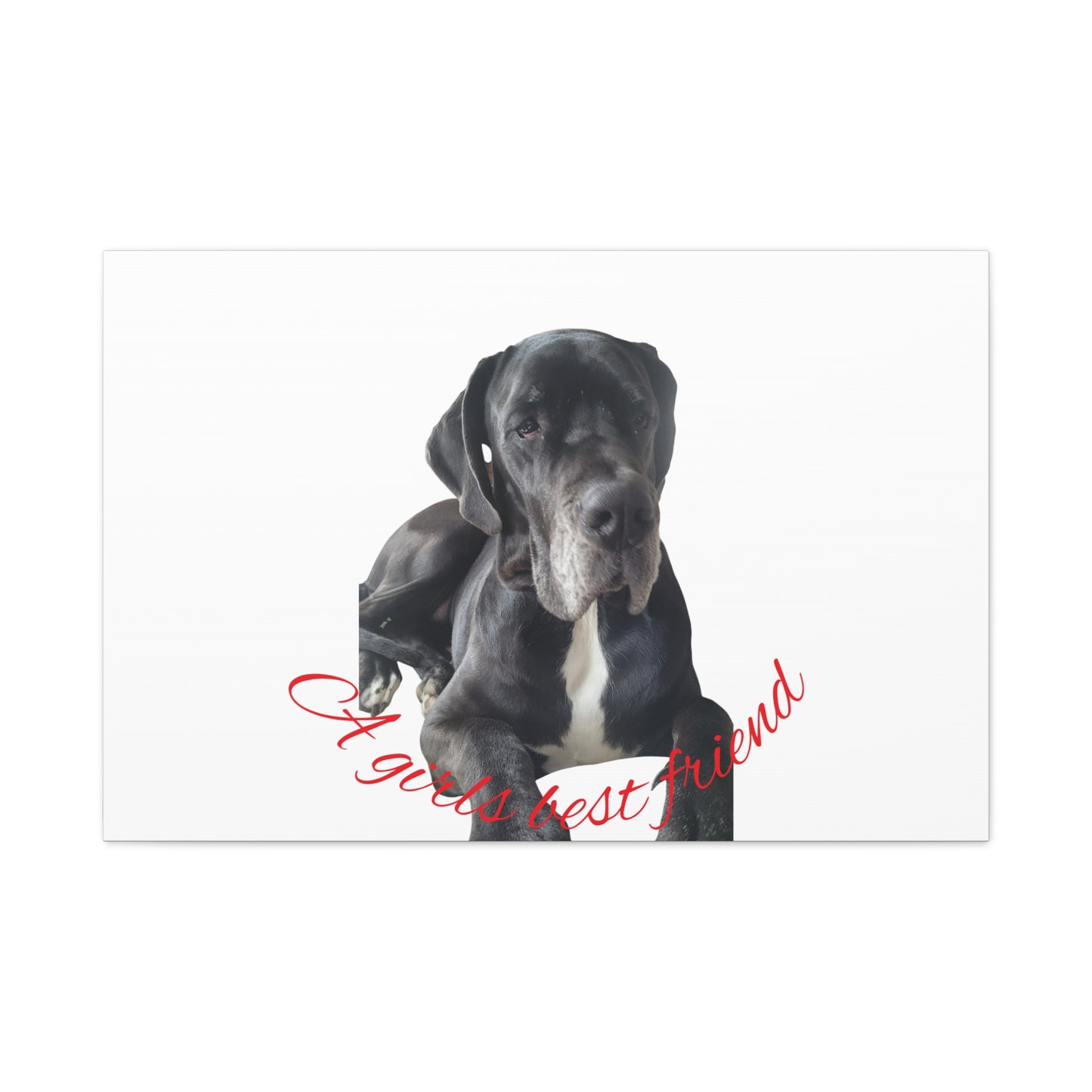 Personalized Dog Portrait Canvas Art - Custom Matte Wall Decor
