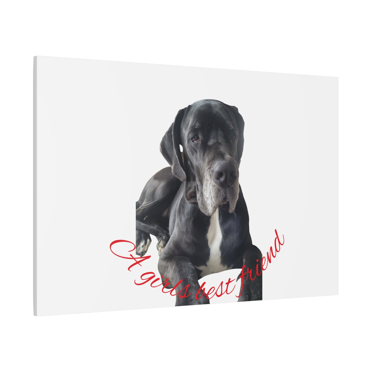 Personalized Dog Portrait Canvas Art - Custom Matte Wall Decor
