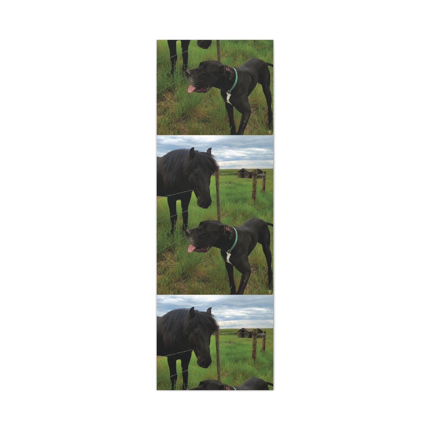 Pet Portrait Matte Canvas Wall Art - Horse & Dog