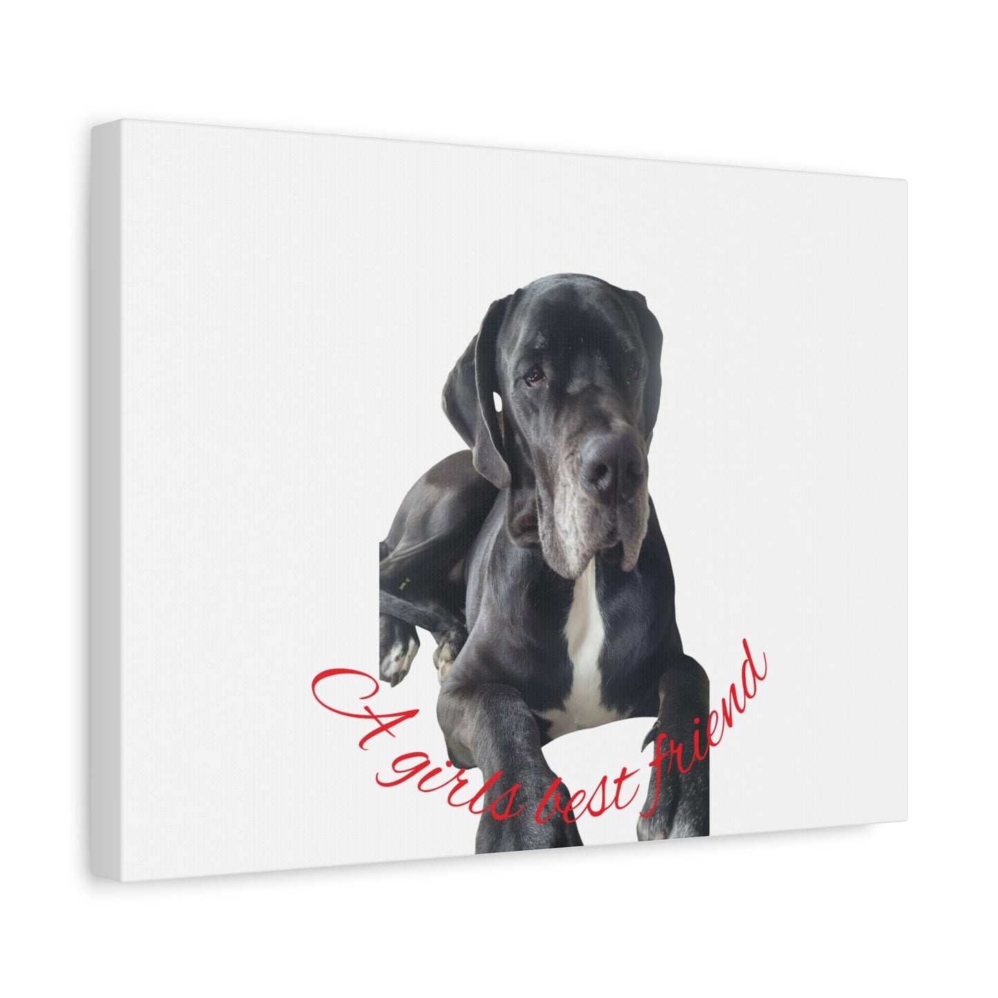 Personalized Dog Portrait Canvas Art - Custom Matte Wall Decor