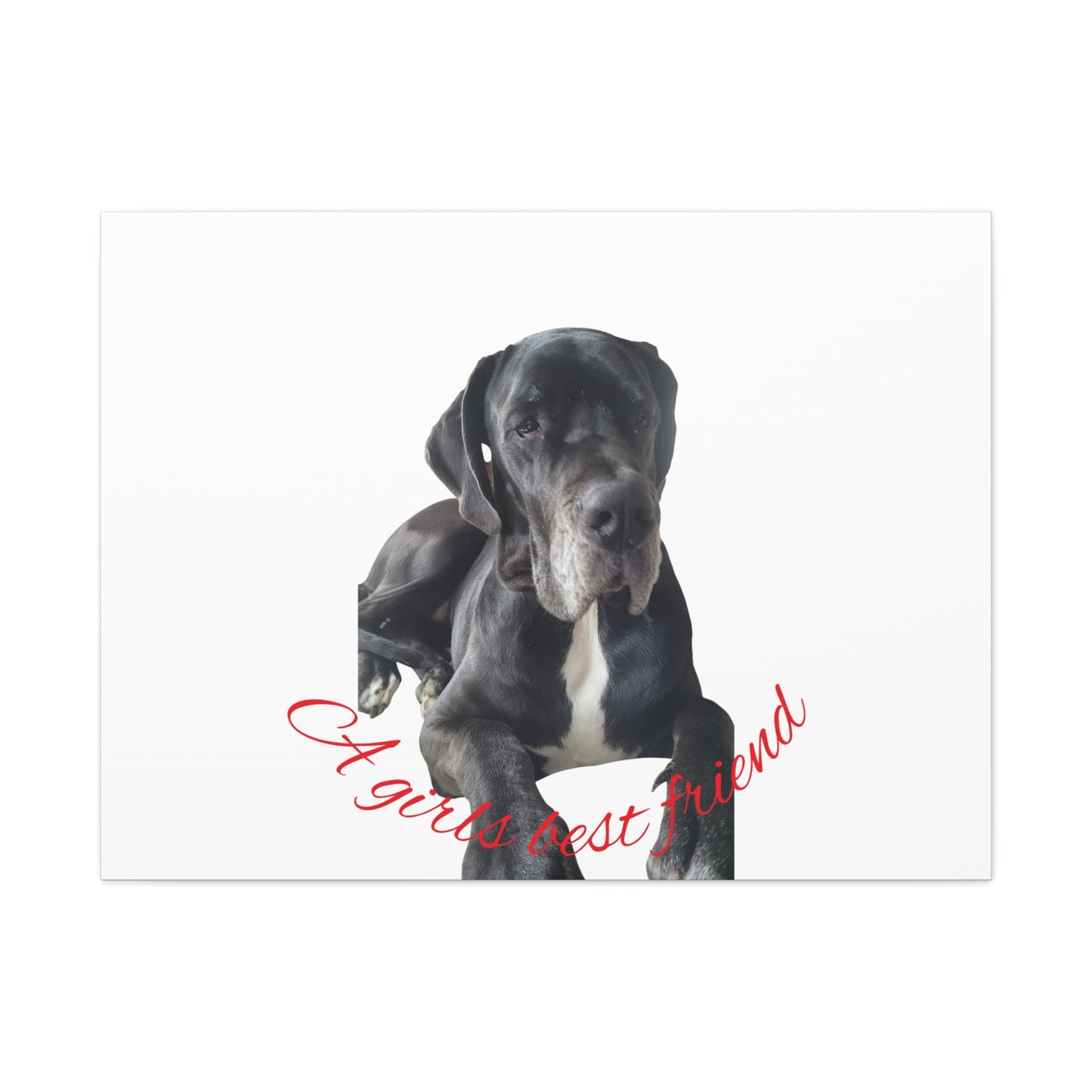 Personalized Dog Portrait Canvas Art - Custom Matte Wall Decor