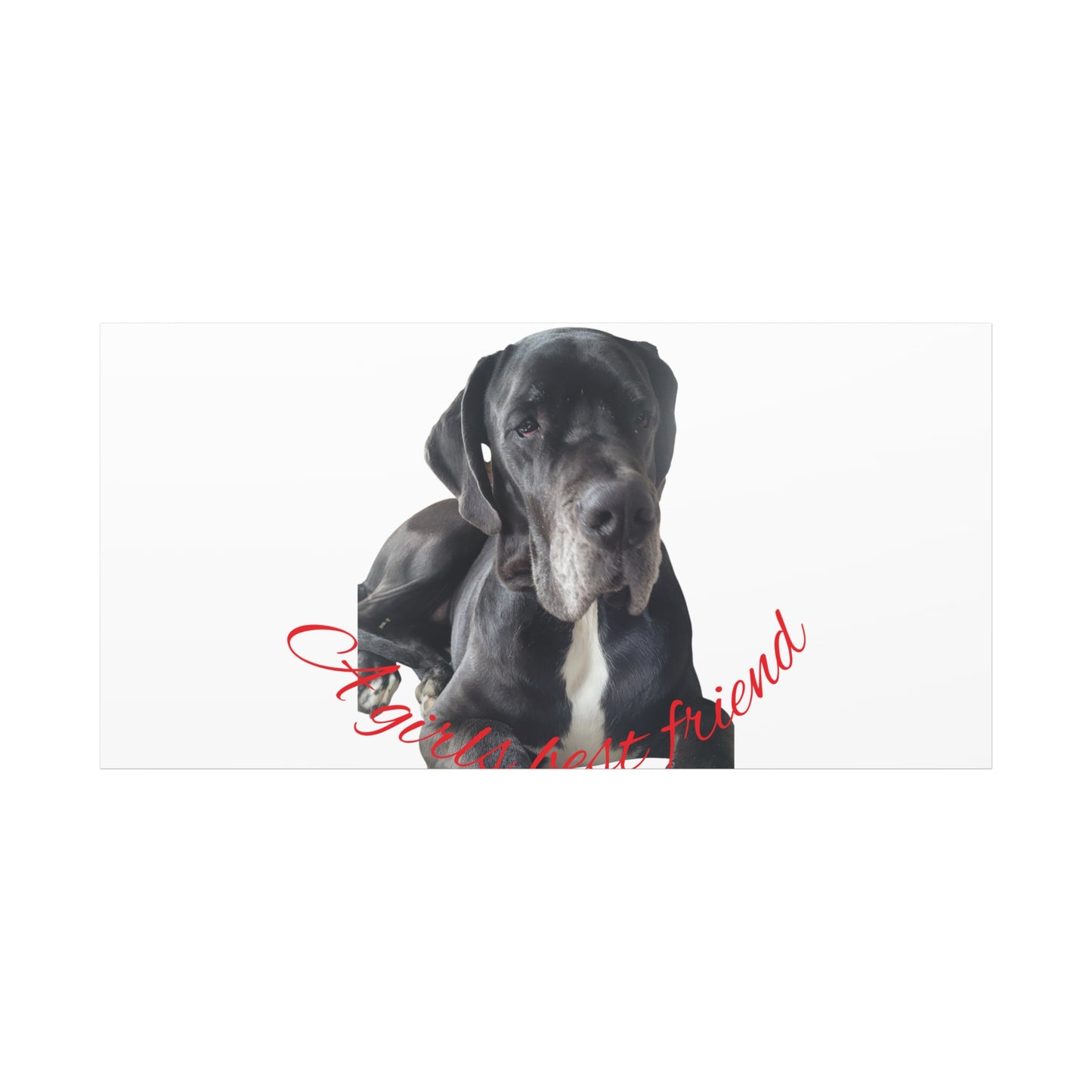 Personalized Dog Portrait Canvas Art - Custom Matte Wall Decor
