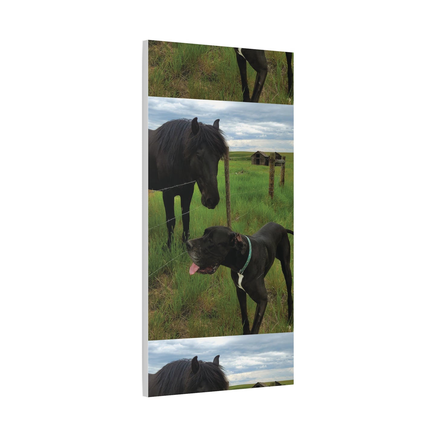 Pet Portrait Matte Canvas Wall Art - Horse & Dog