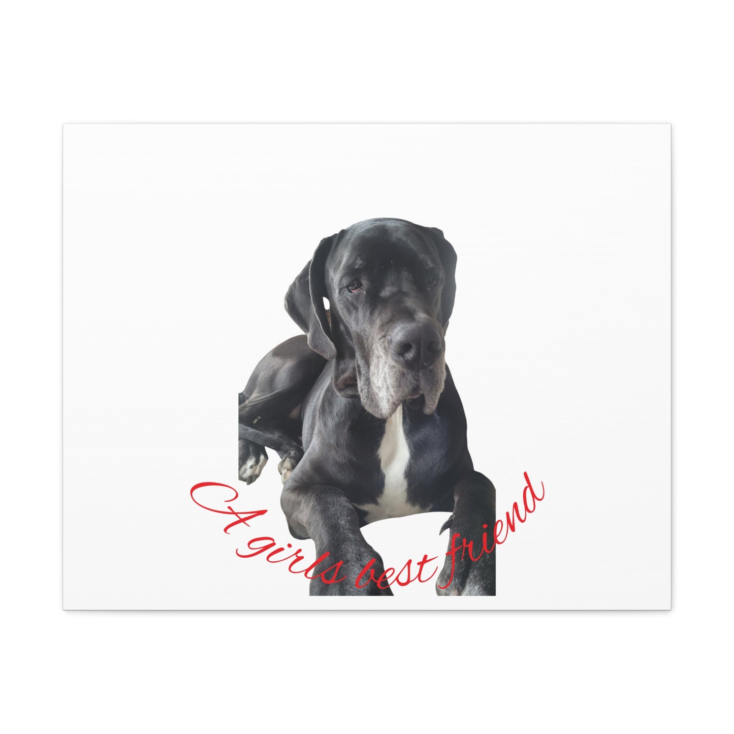 Personalized Dog Portrait Canvas Art - Custom Matte Wall Decor