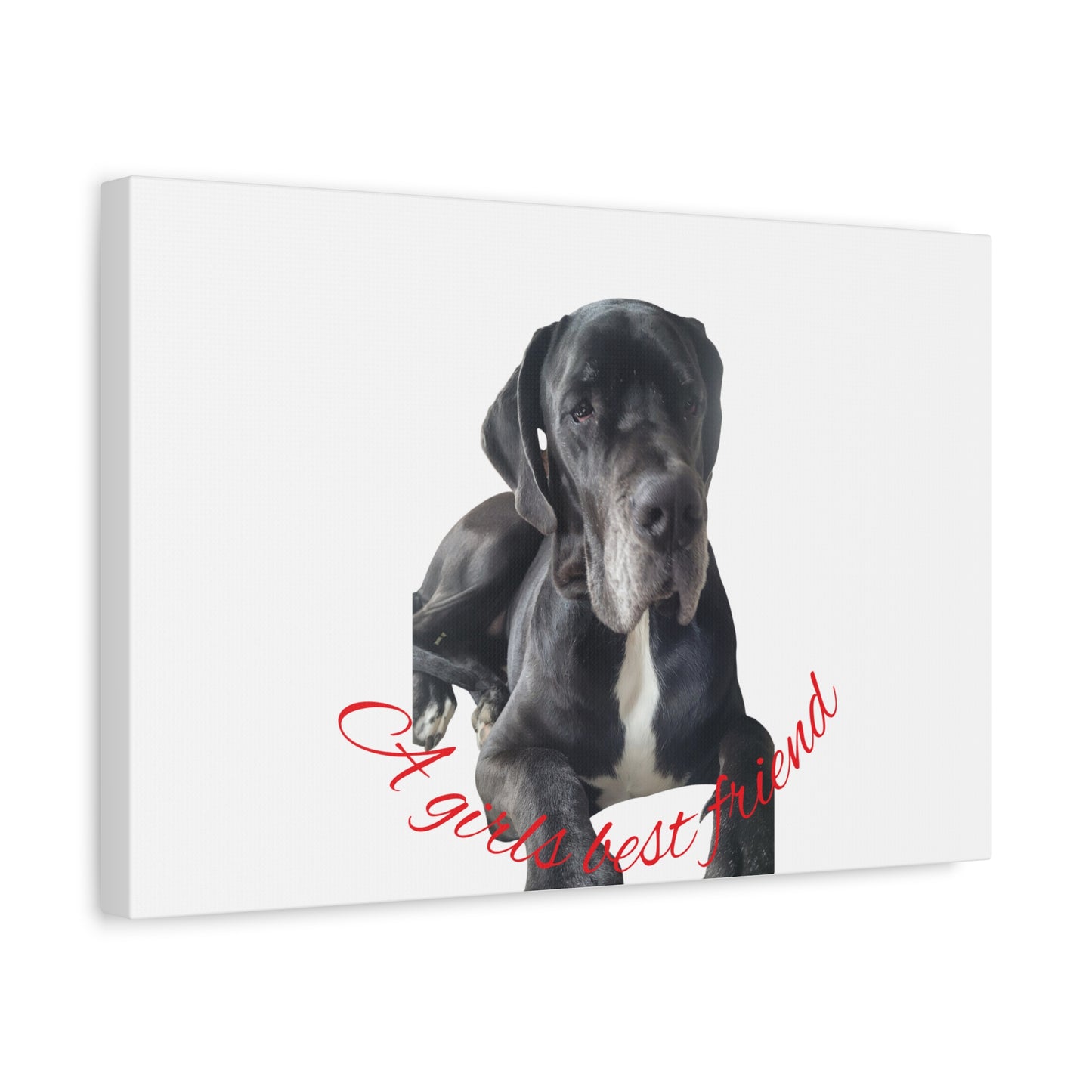 Personalized Dog Portrait Canvas Art - Custom Matte Wall Decor