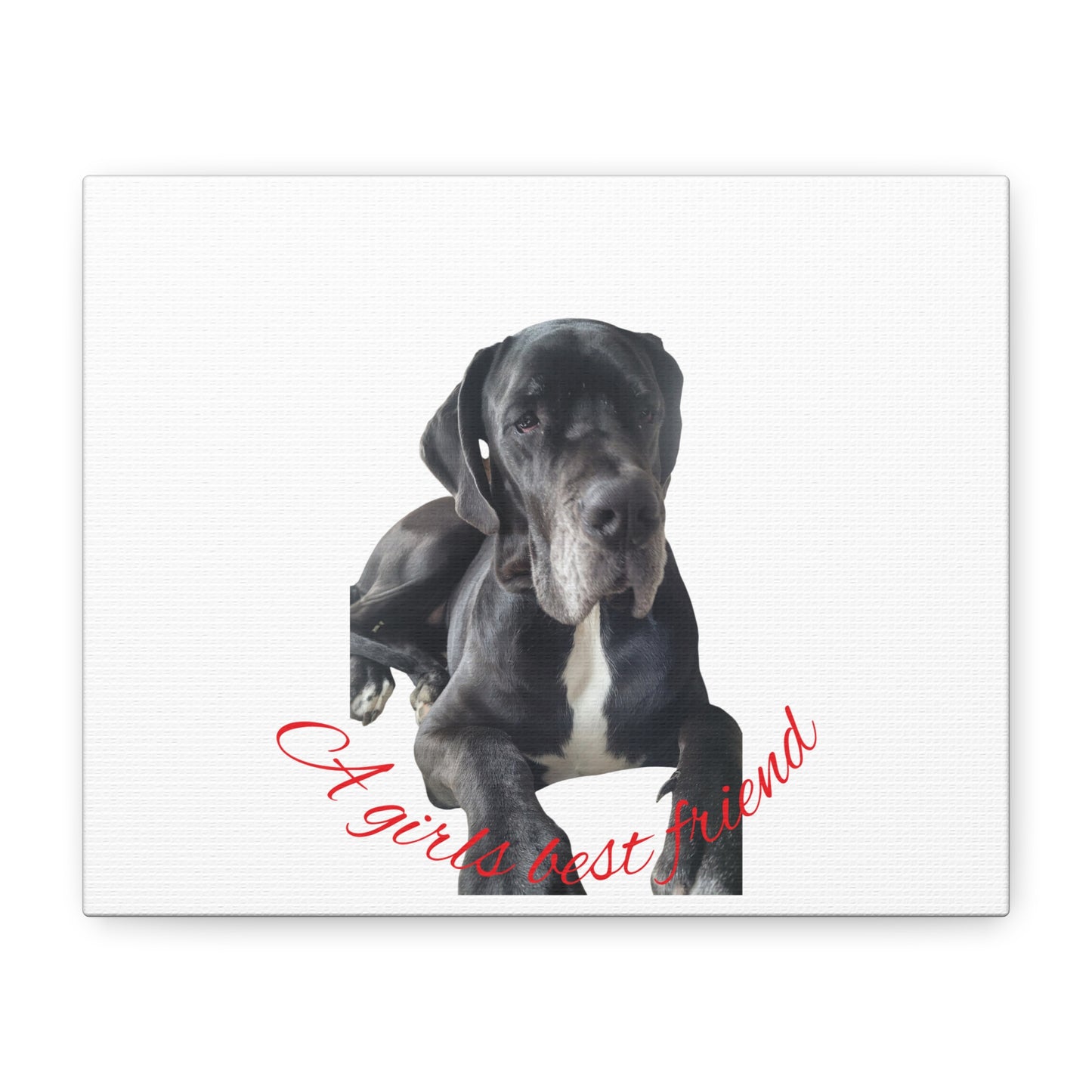 Personalized Dog Portrait Canvas Art - Custom Matte Wall Decor