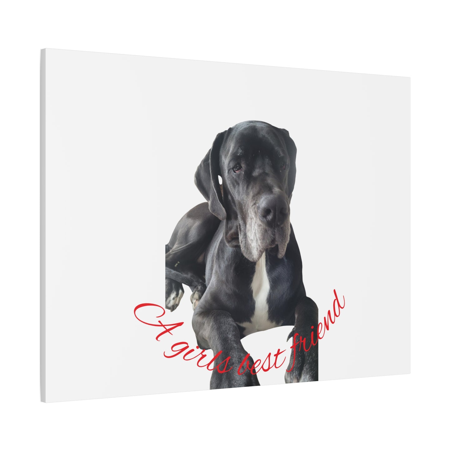 Personalized Dog Portrait Canvas Art - Custom Matte Wall Decor