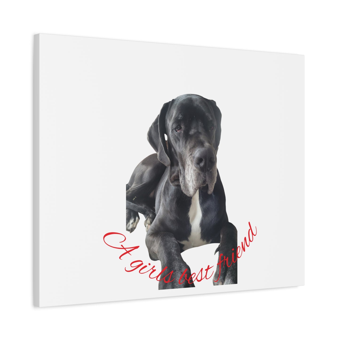 Personalized Dog Portrait Canvas Art - Custom Matte Wall Decor