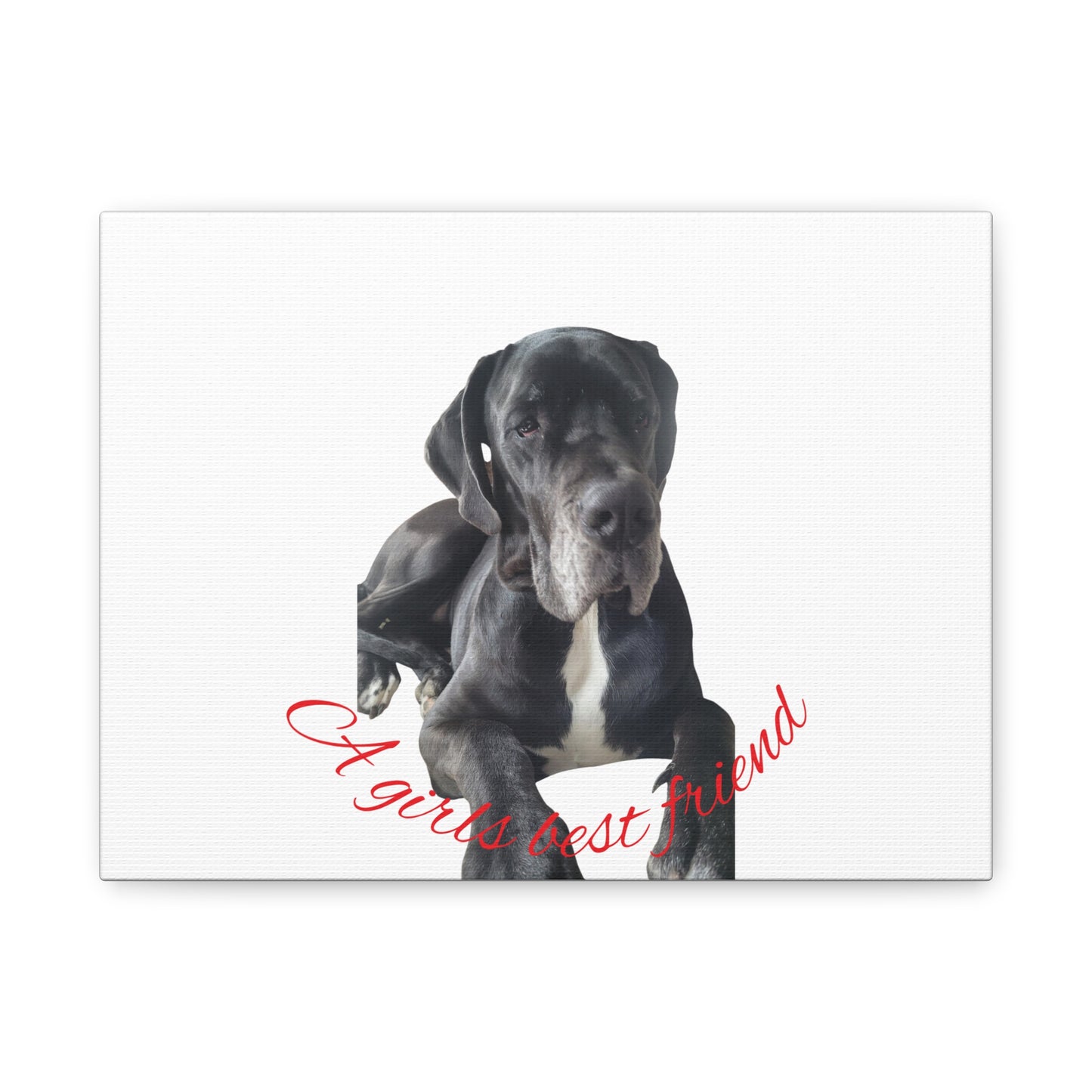 Personalized Dog Portrait Canvas Art - Custom Matte Wall Decor