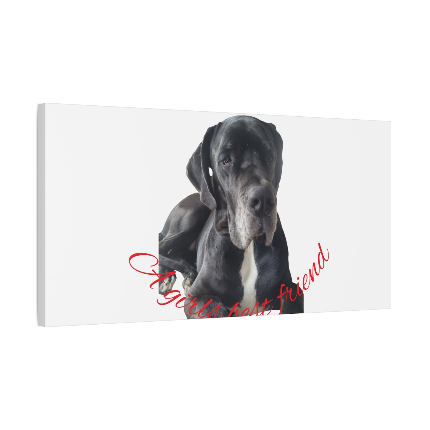 Personalized Dog Portrait Canvas Art - Custom Matte Wall Decor