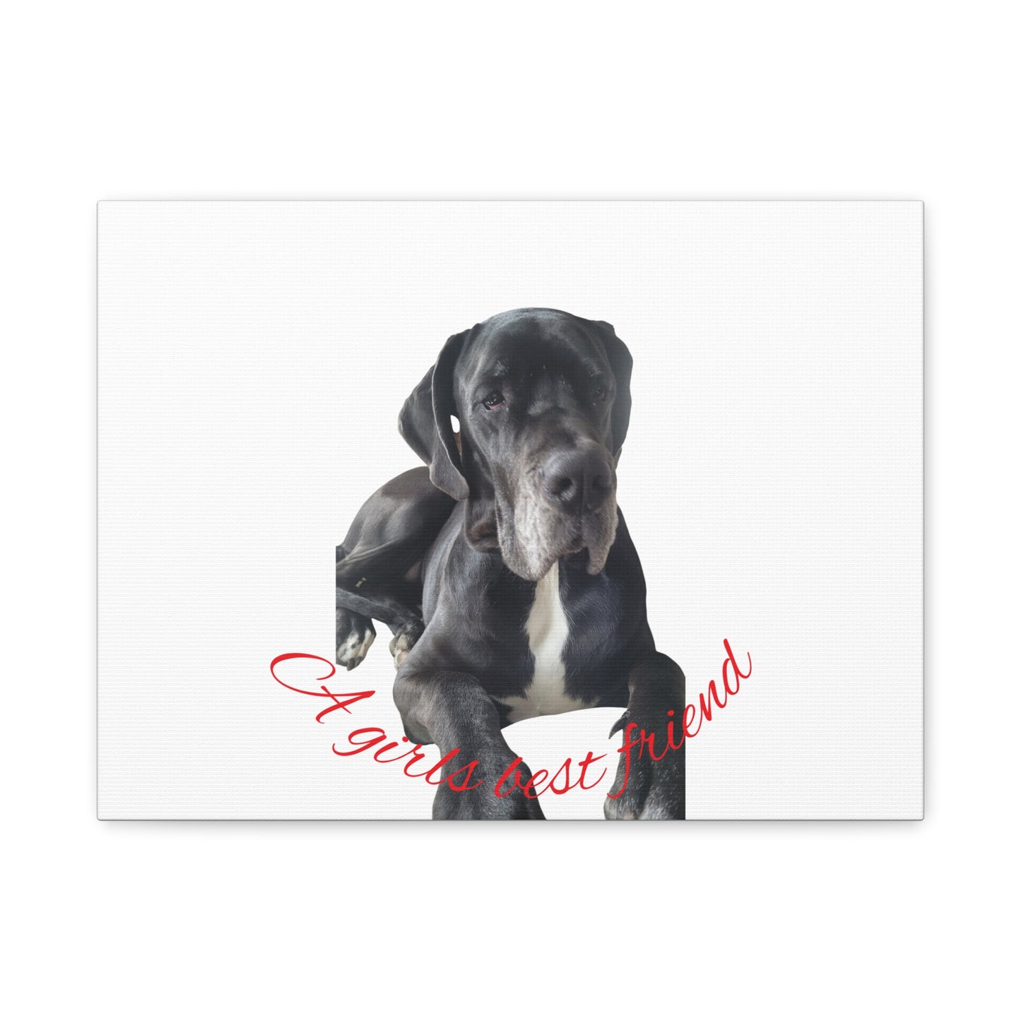 Personalized Dog Portrait Canvas Art - Custom Matte Wall Decor