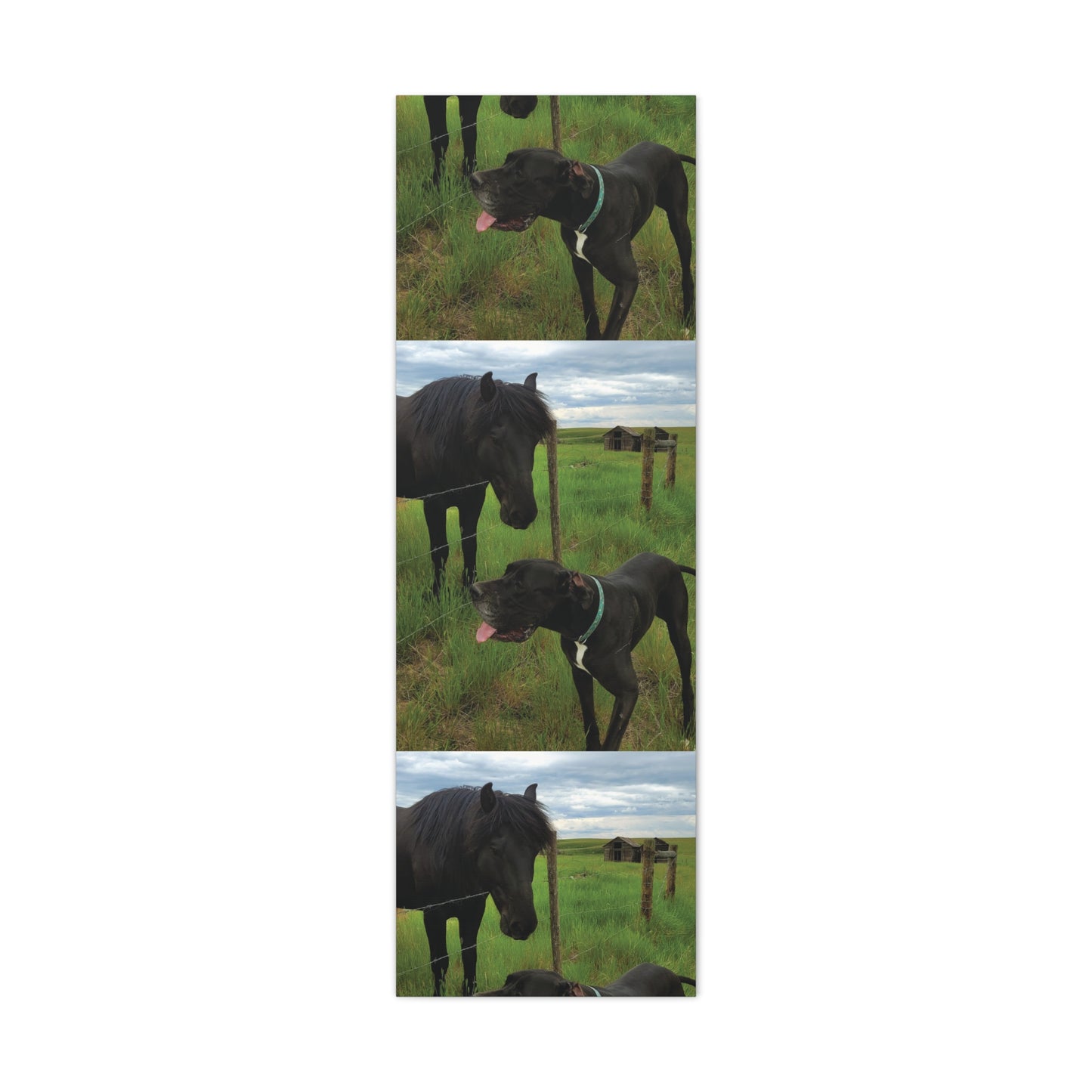 Pet Portrait Matte Canvas Wall Art - Horse & Dog
