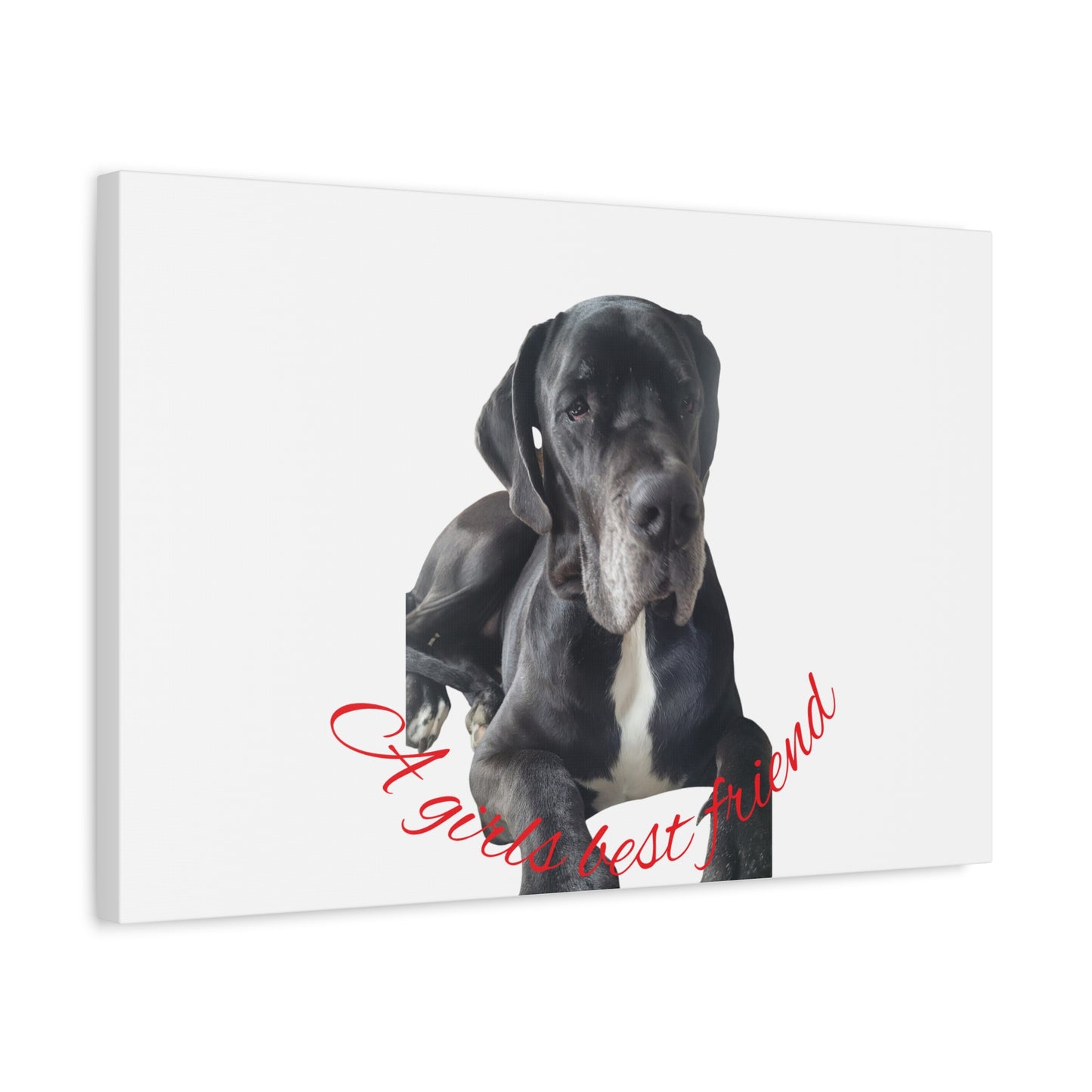 Personalized Dog Portrait Canvas Art - Custom Matte Wall Decor