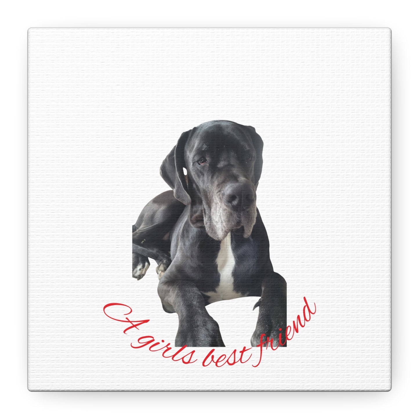 Personalized Dog Portrait Canvas Art - Custom Matte Wall Decor