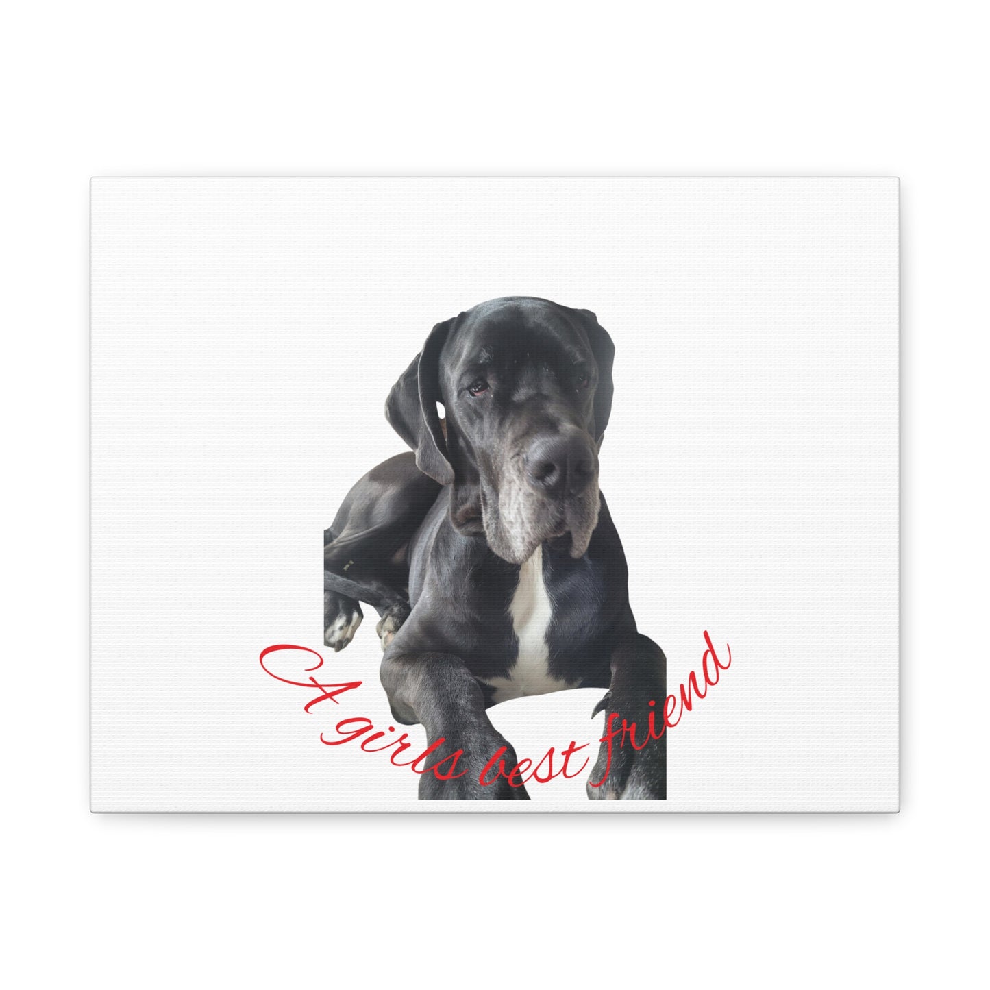 Personalized Dog Portrait Canvas Art - Custom Matte Wall Decor