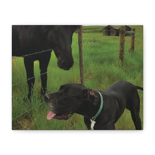 Pet Portrait Matte Canvas Wall Art - Horse & Dog