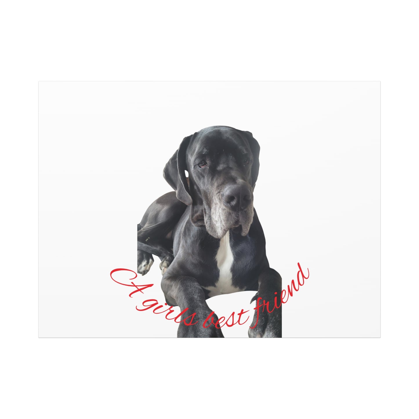 Personalized Dog Portrait Canvas Art - Custom Matte Wall Decor