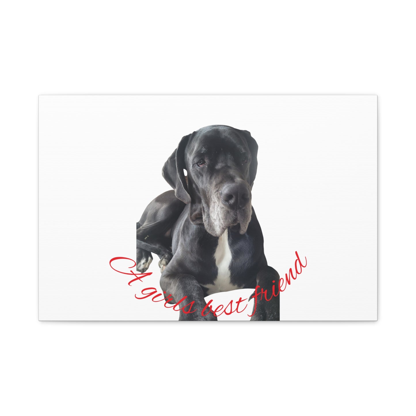 Personalized Dog Portrait Canvas Art - Custom Matte Wall Decor