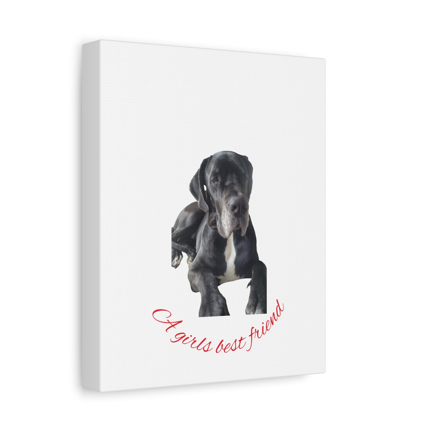 Personalized Dog Portrait Canvas Art - Custom Matte Wall Decor