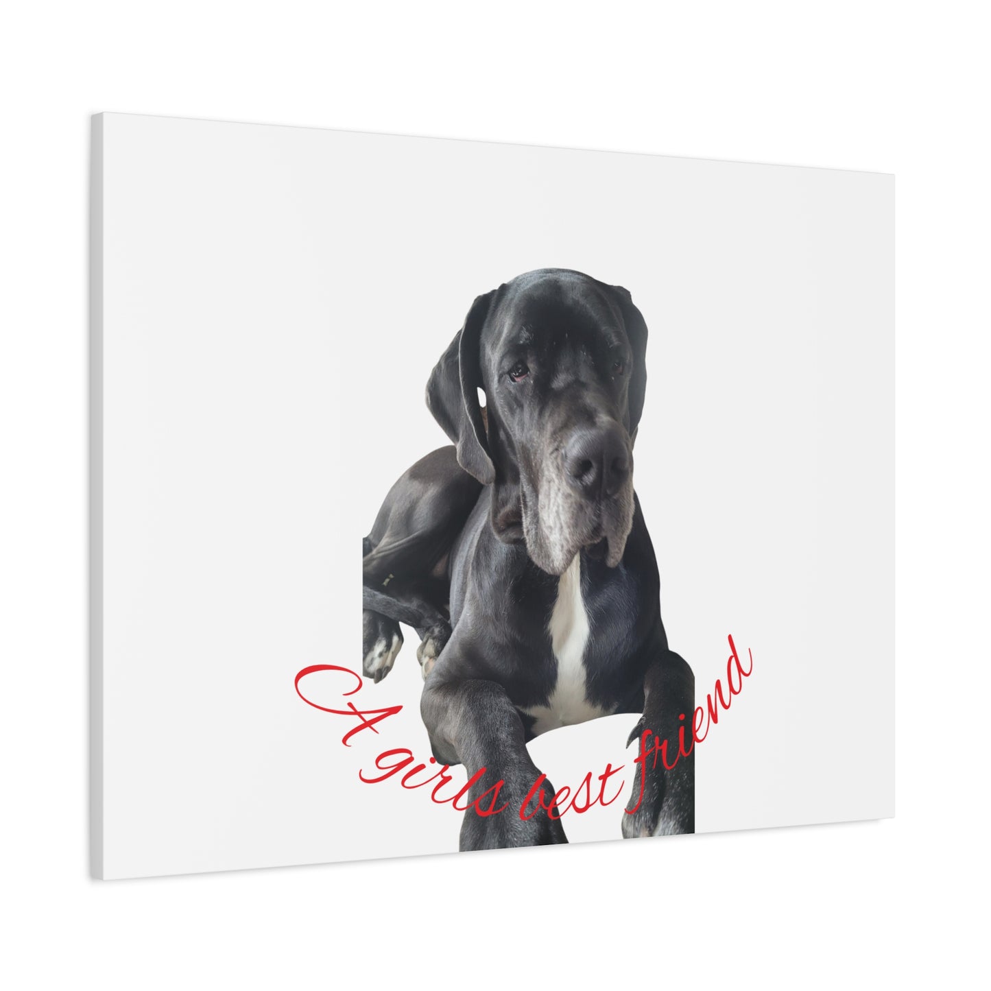 Personalized Dog Portrait Canvas Art - Custom Matte Wall Decor