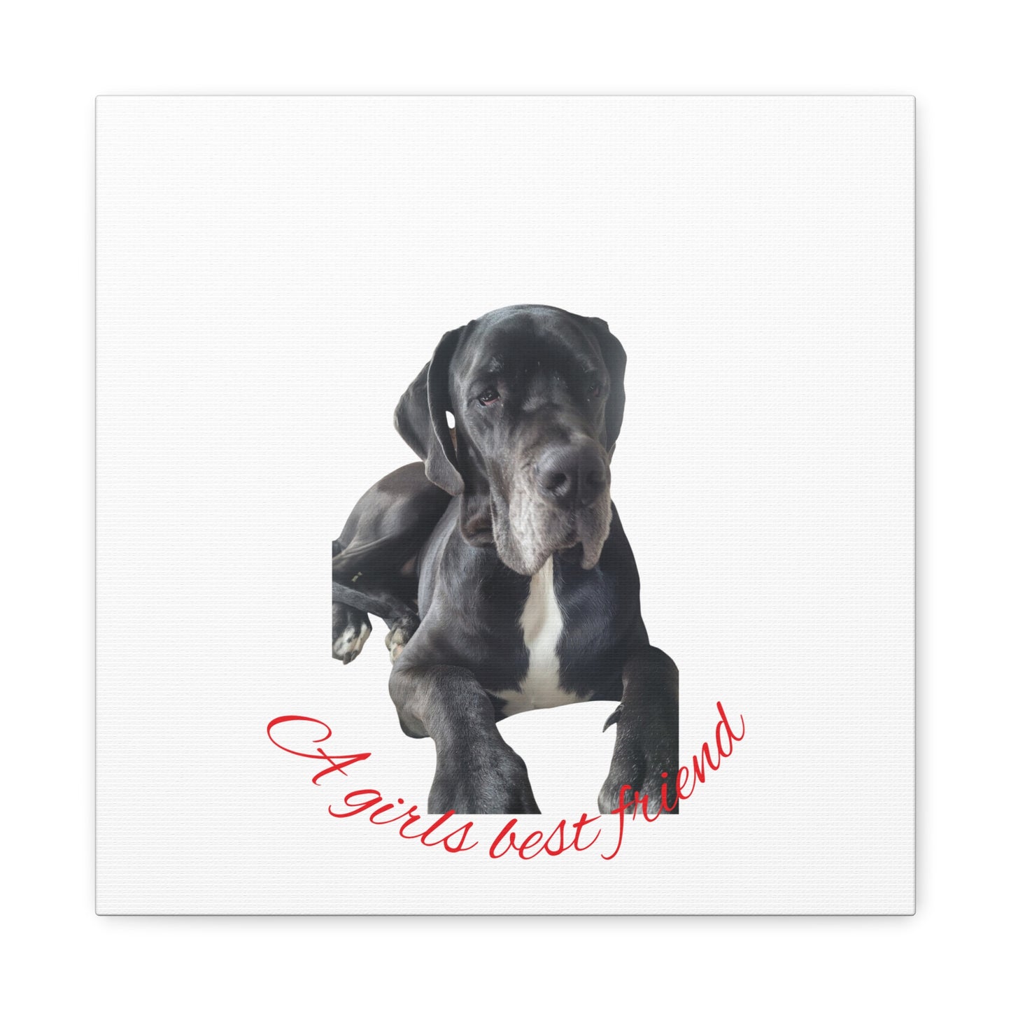 Personalized Dog Portrait Canvas Art - Custom Matte Wall Decor