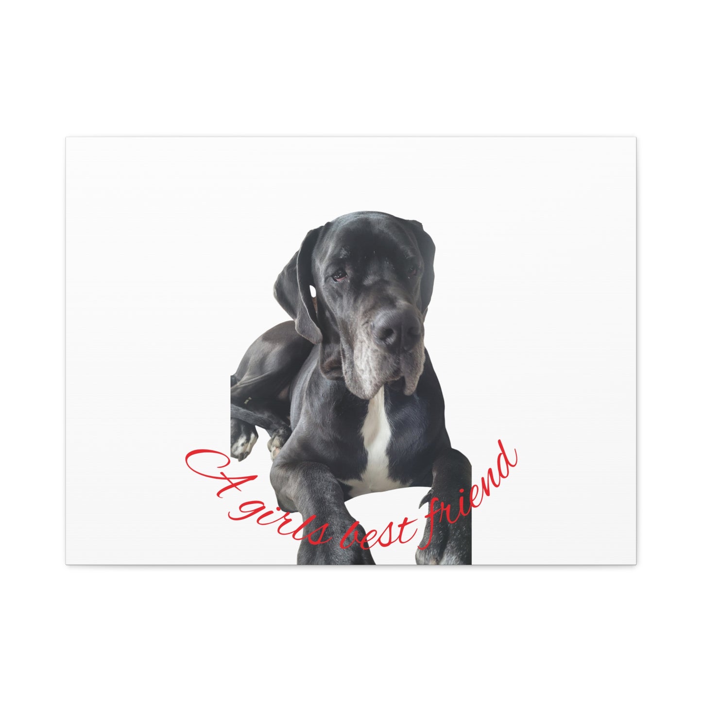 Personalized Dog Portrait Canvas Art - Custom Matte Wall Decor