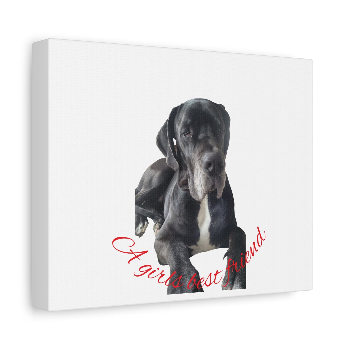 Personalized Dog Portrait Canvas Art - Custom Matte Wall Decor