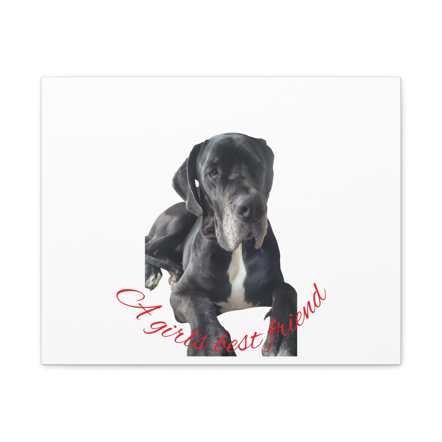 Personalized Dog Portrait Canvas Art - Custom Matte Wall Decor