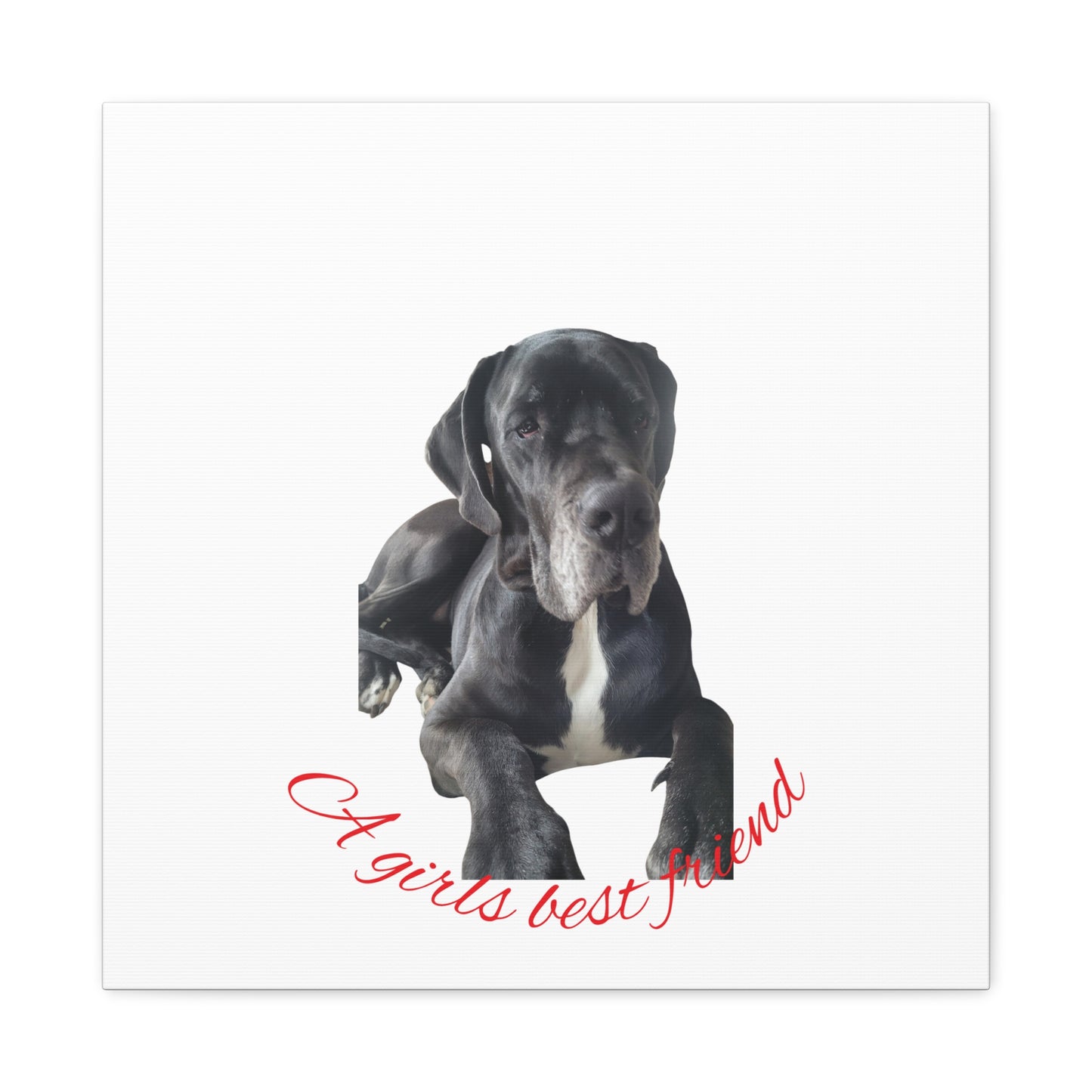 Personalized Dog Portrait Canvas Art - Custom Matte Wall Decor